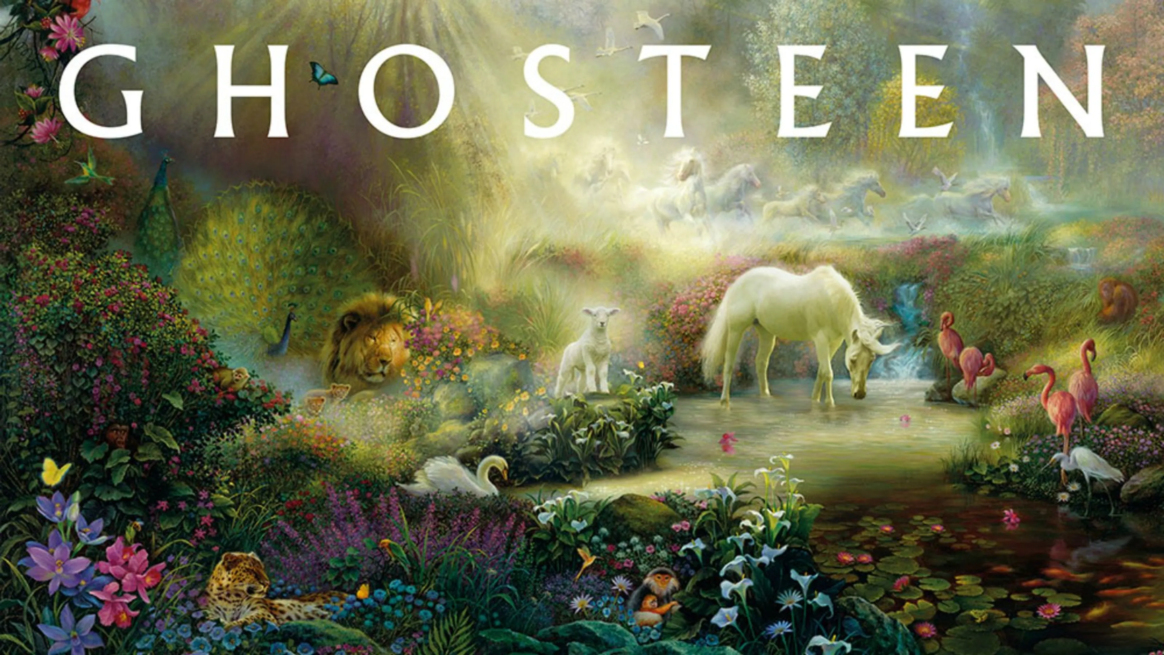 Uitgelichte afbeelding