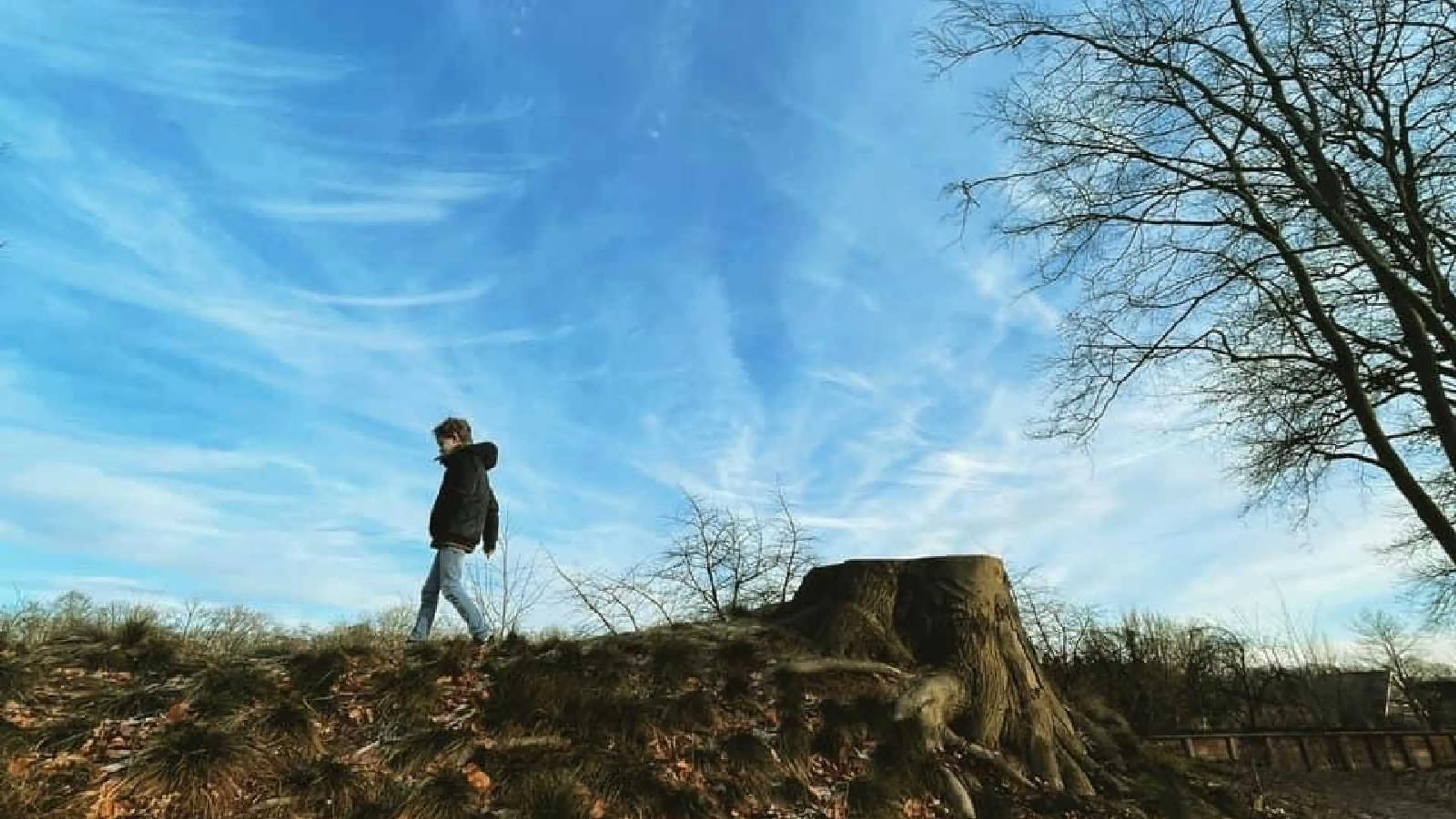 Uitgelichte afbeelding