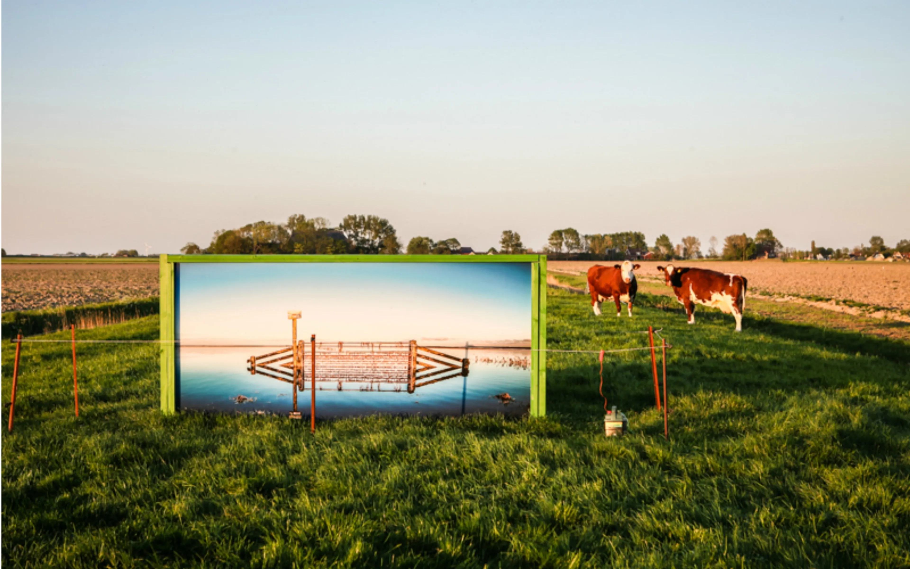 Uitgelichte afbeelding