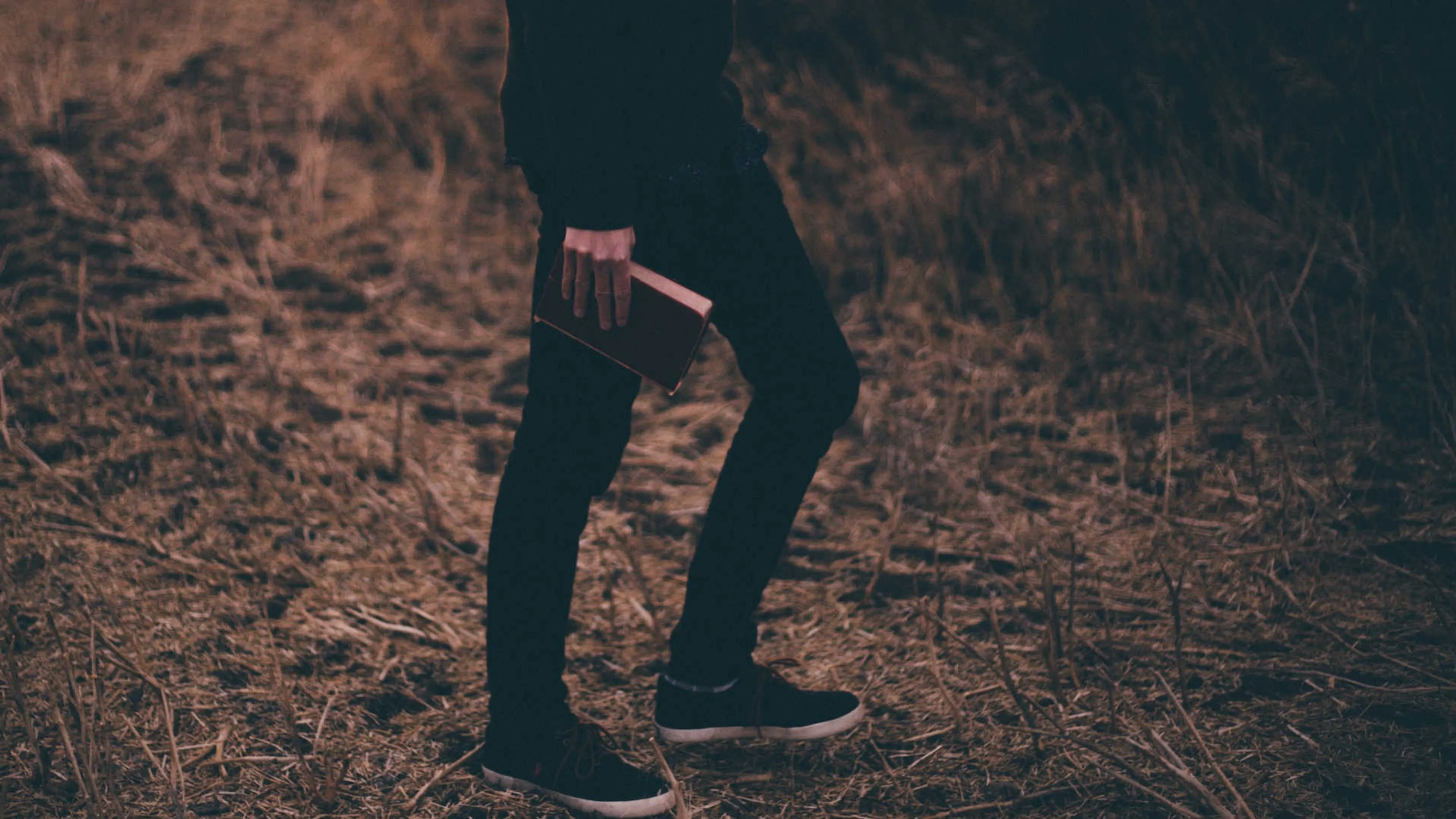 Uitgelichte afbeelding