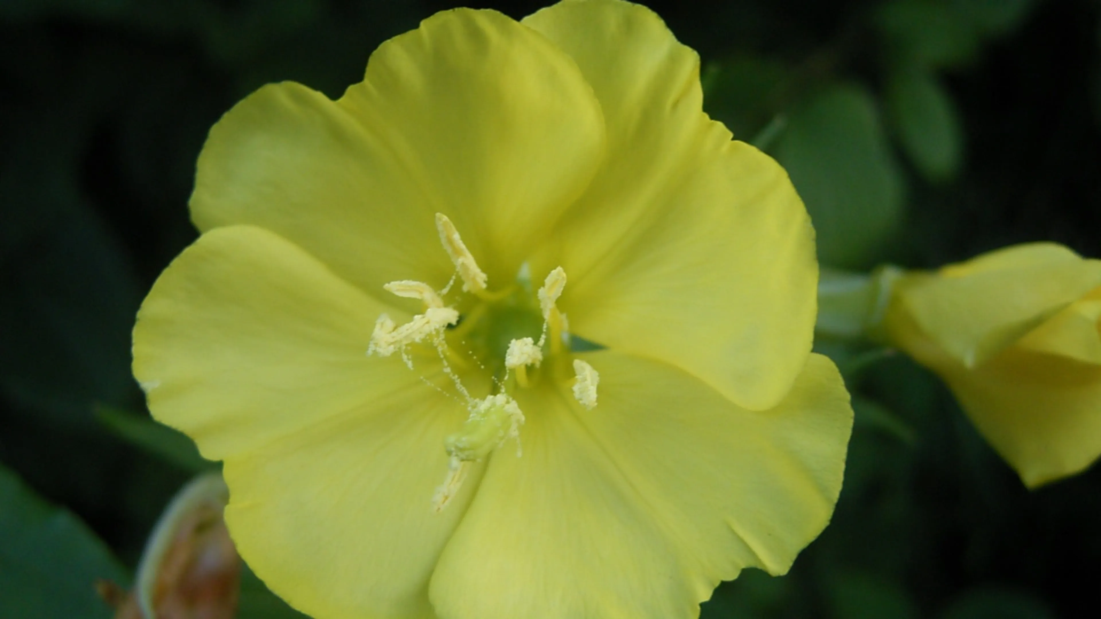 Iedereen kan leider worden – maar waarom zou dat moeten?