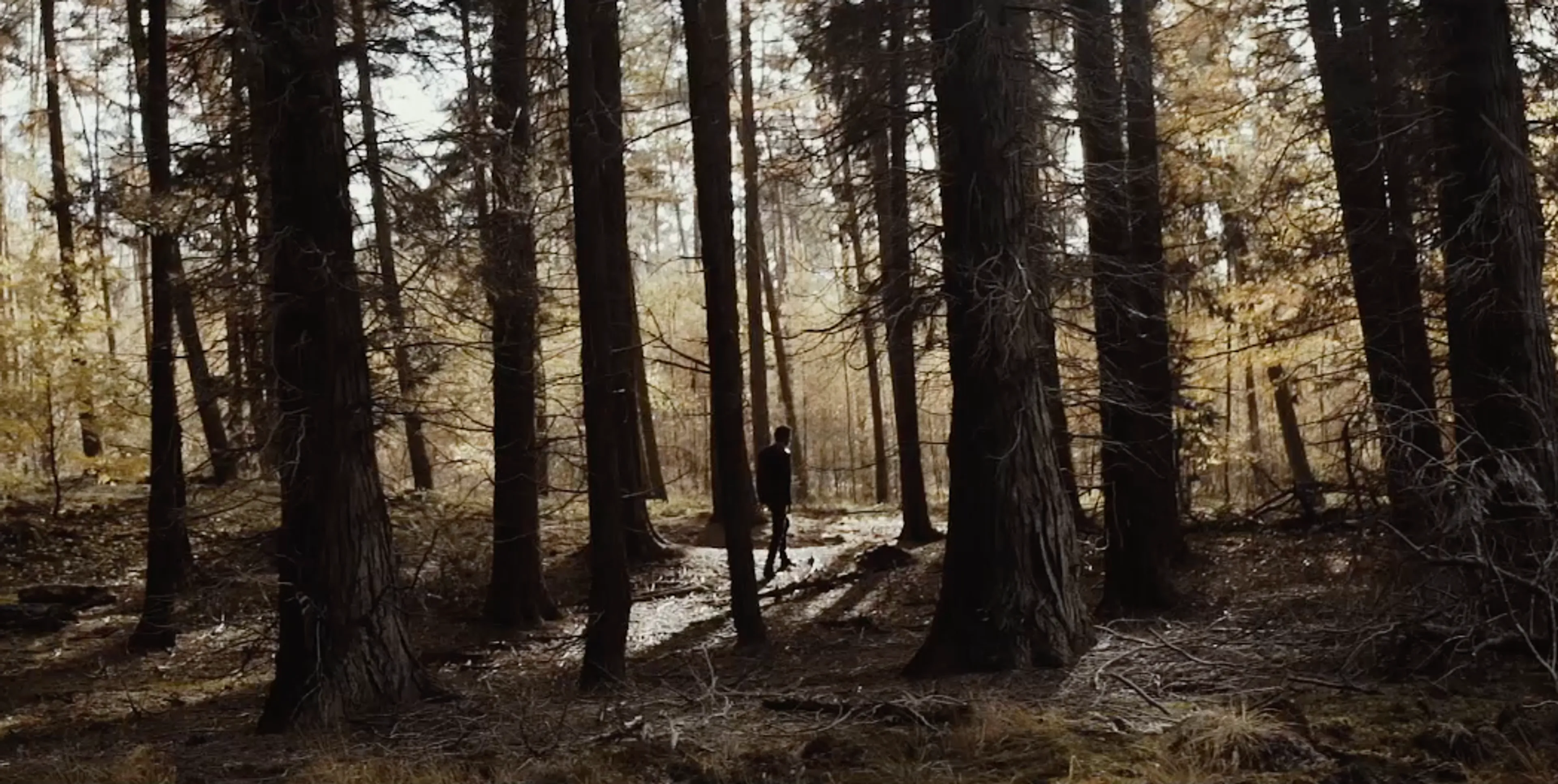 Hoe kun je weten wat goed en kwaad is? En kan dat zonder God?