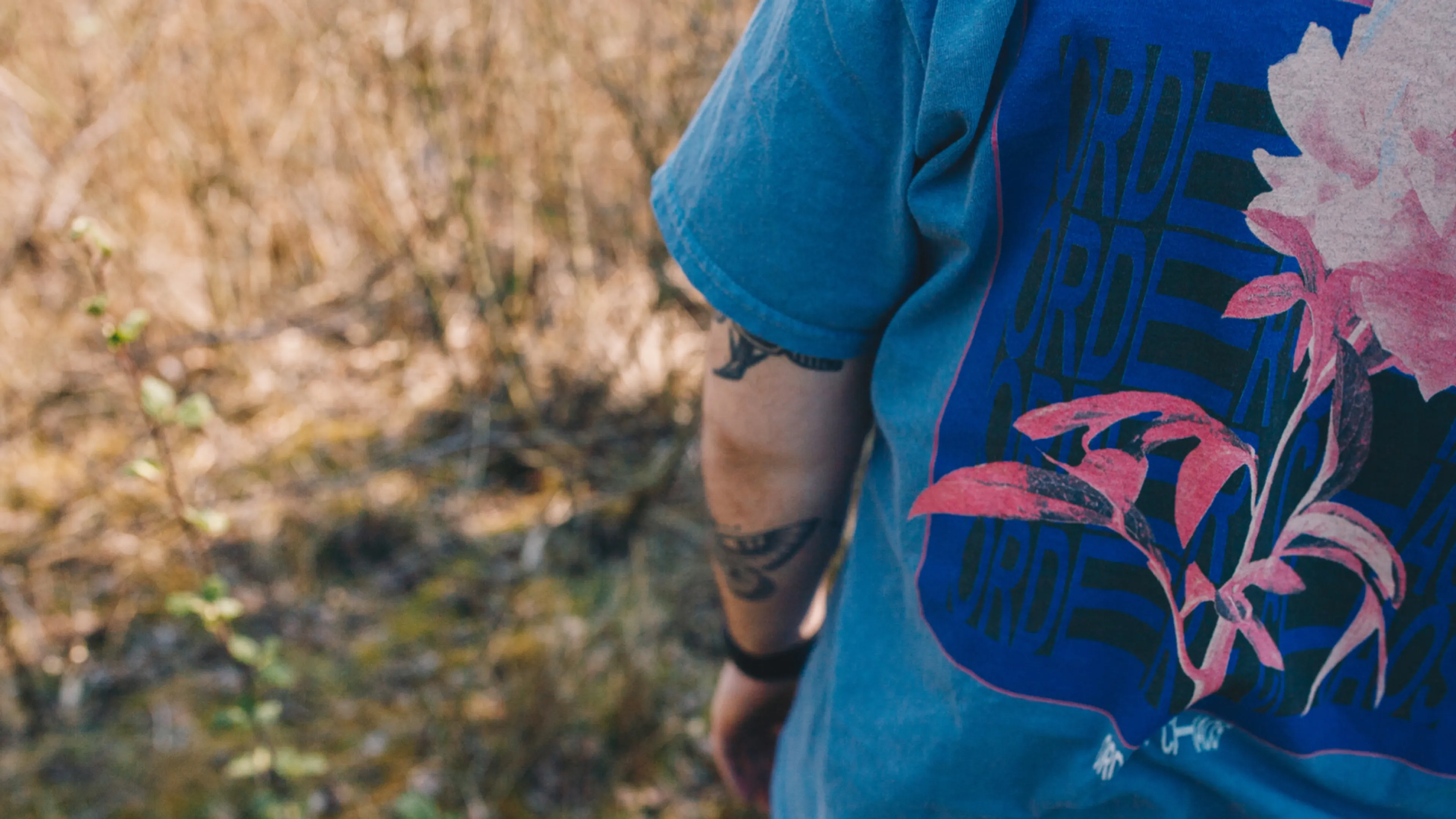 Uitgelichte afbeelding