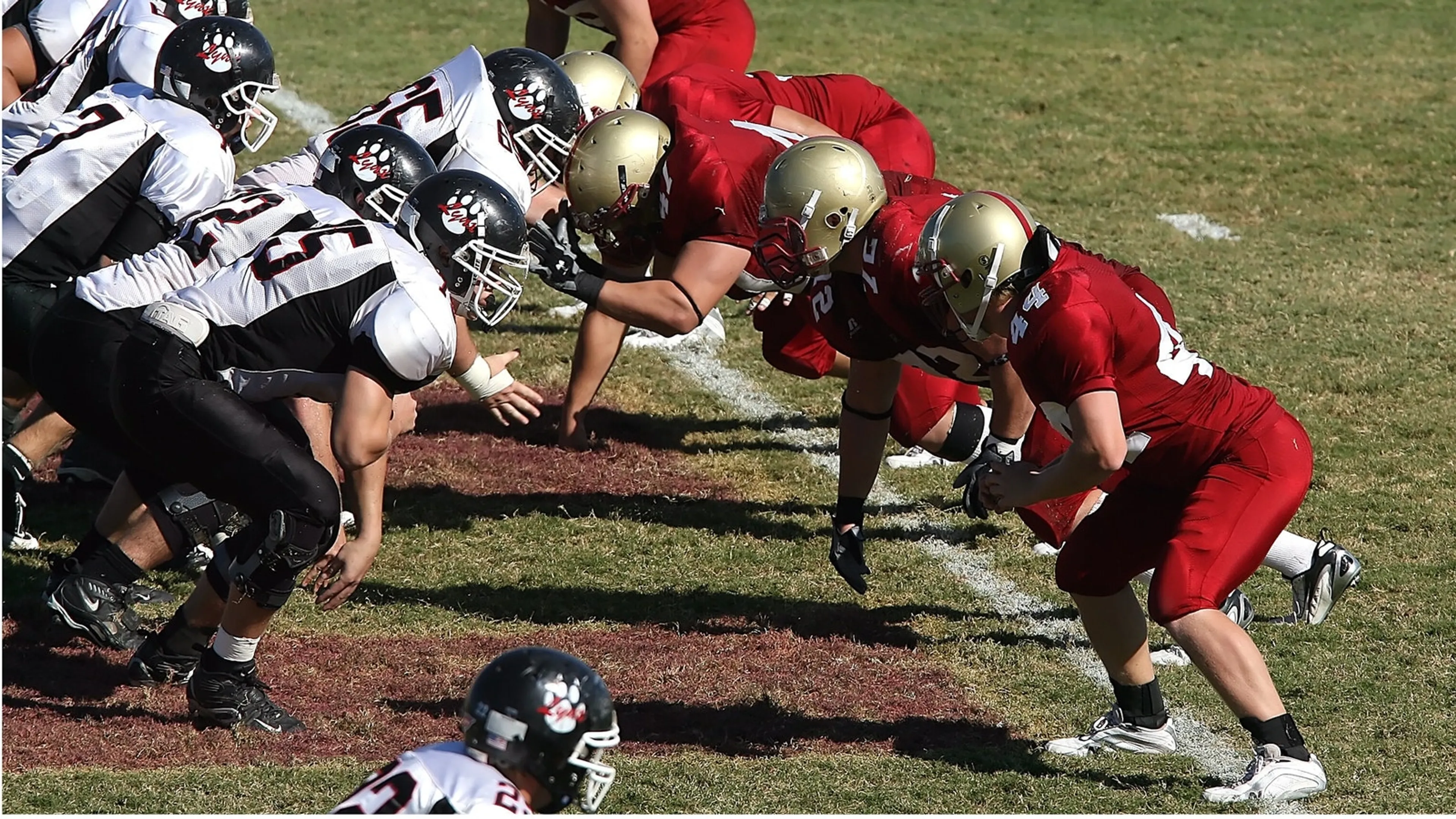 ‘We kunnen het meeste leren van iemand die wezenlijk anders is dan wijzelf’