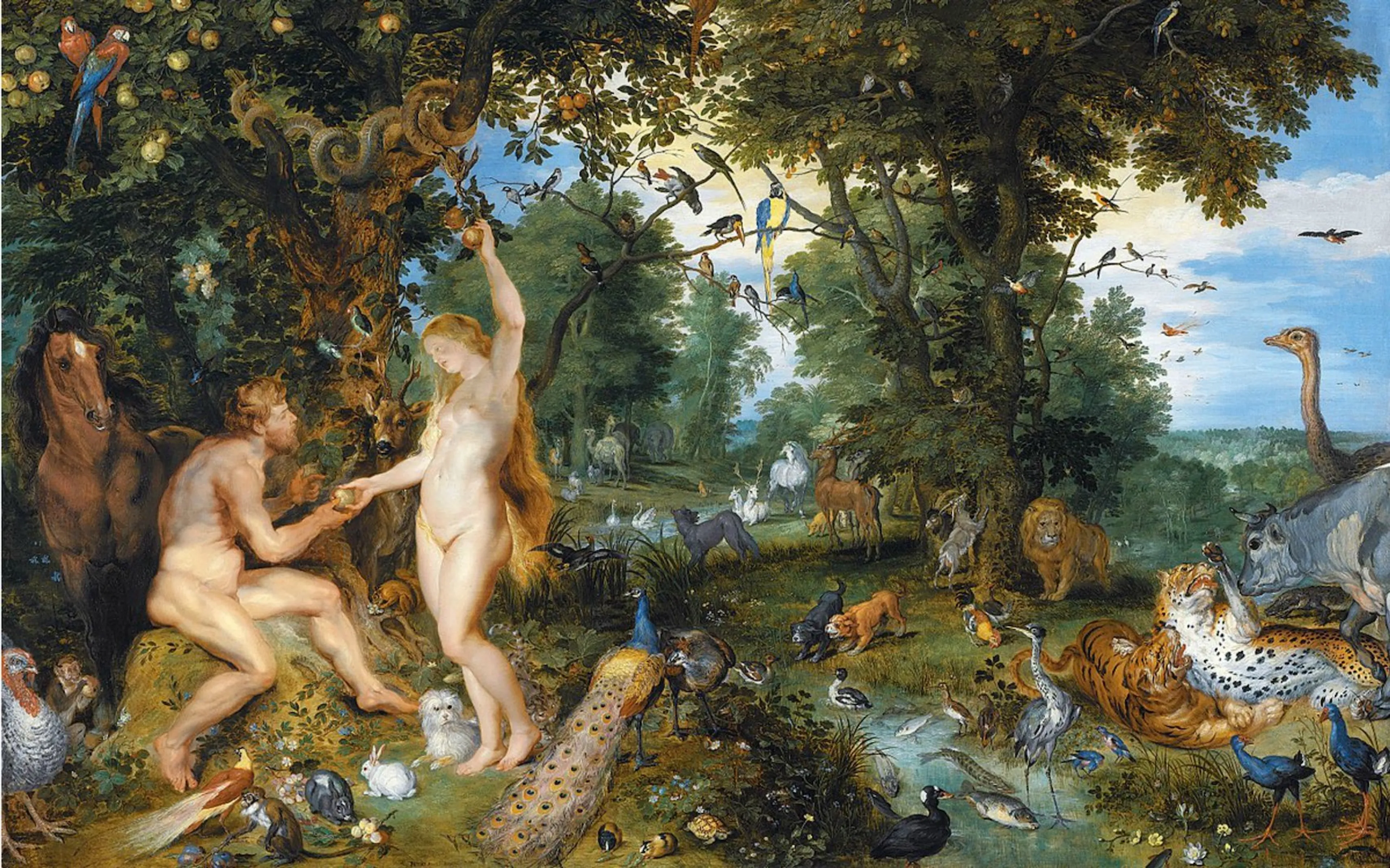 Uitgelichte afbeelding