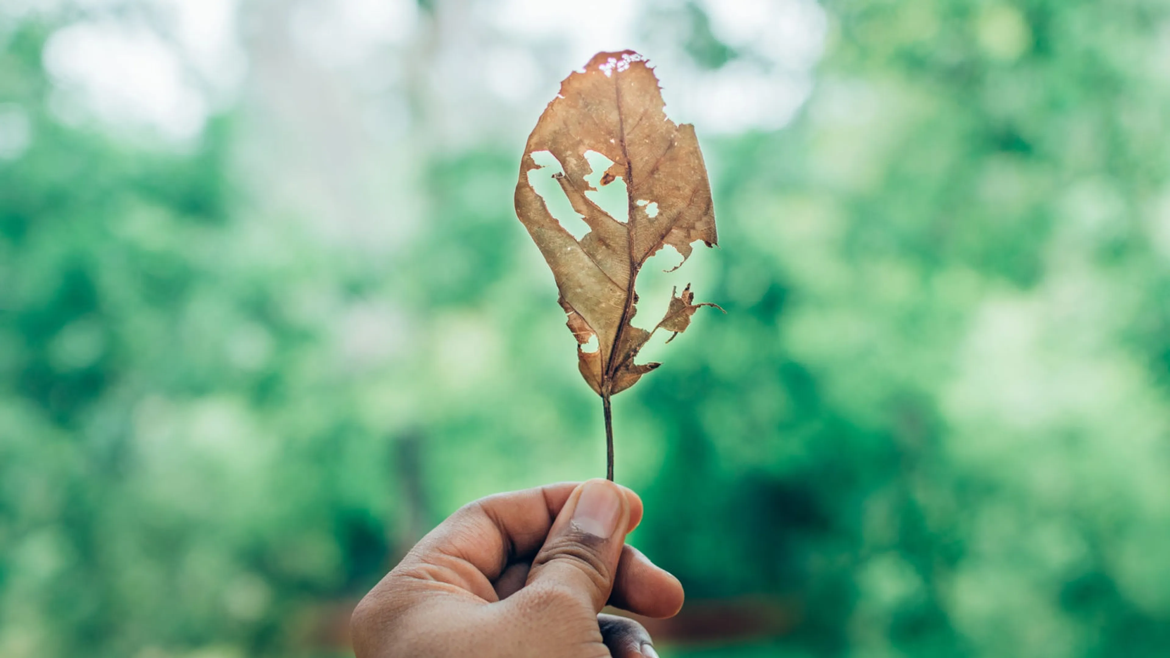 Tegenslag in je leven? Zo leerde Jurjen ermee om te gaan