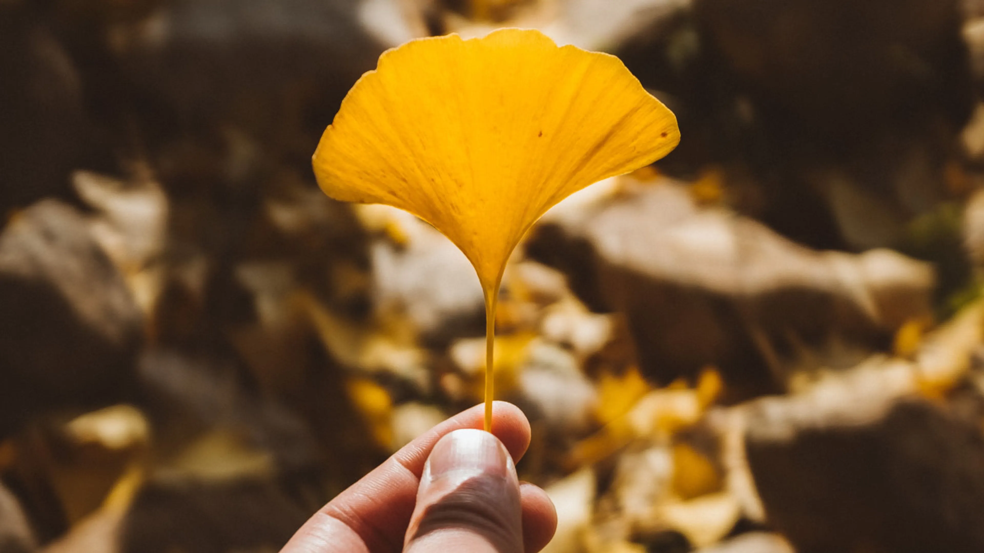 ‘Het is mogelijk om onder alle omstandigheden hoop te houden’