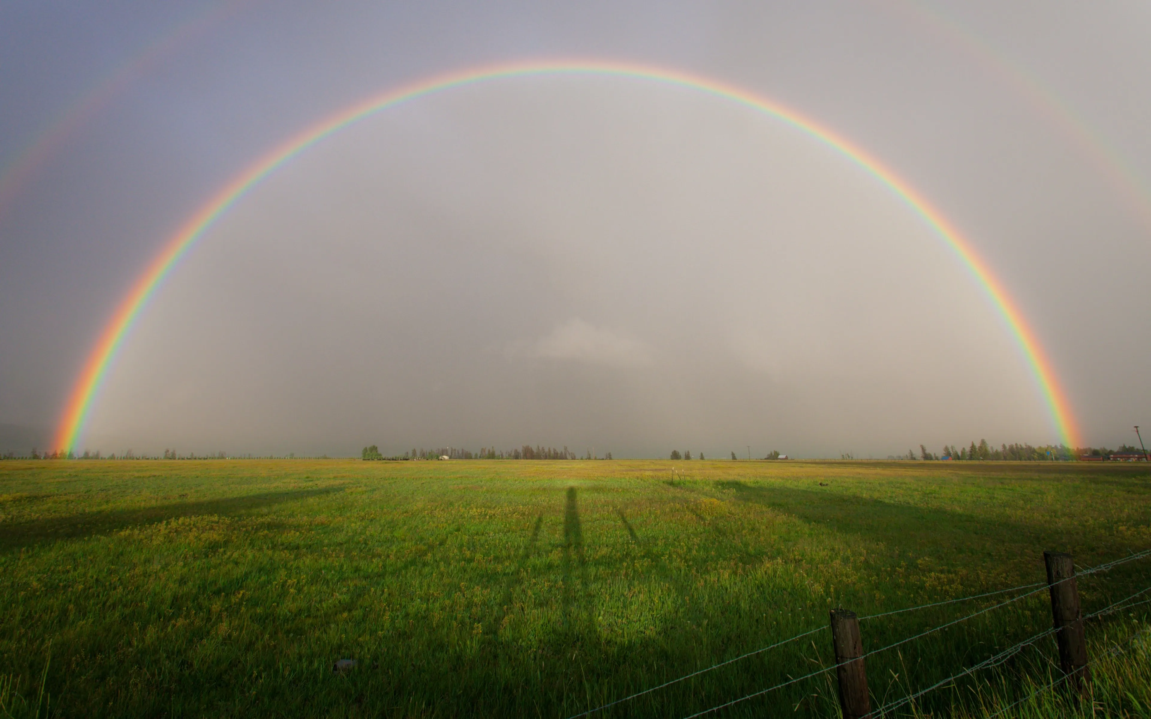 ‘Ik lig nu alleen in het ziekenhuis, maar weet dat ik gezien word en geliefd ben’