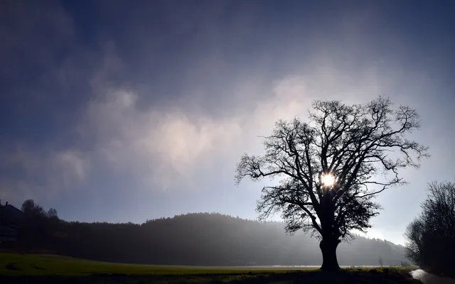 Wat je te doen staat.