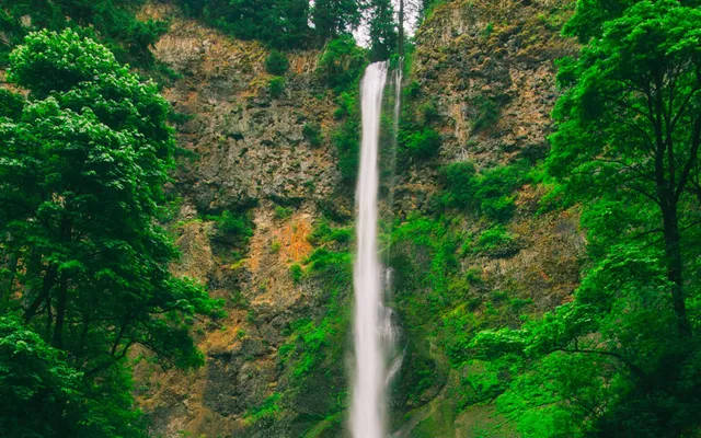 Vrij zijn, ik wil alleen maar vrij zijn.