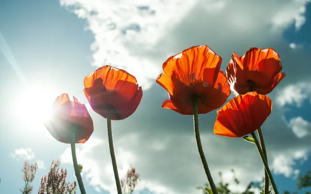 ‘Laten we Bijbelverhalen opnieuw ontdekken en van betekenis laten zijn in deze tijd’.