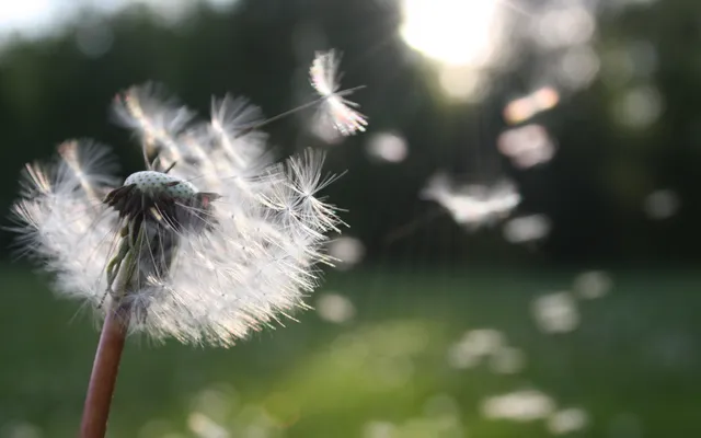 Dat het op een gegeven moment klaar is.