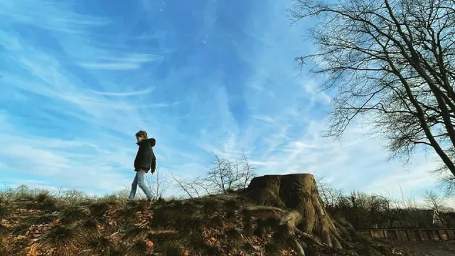 Uitgelichte afbeelding