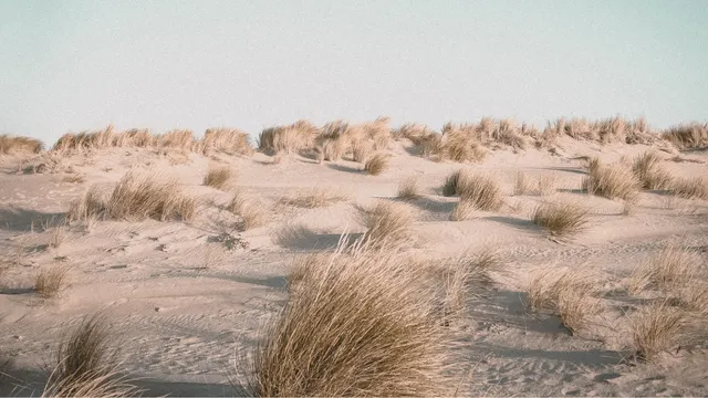Lazarus staat op | Grenzen aan de goedheid.