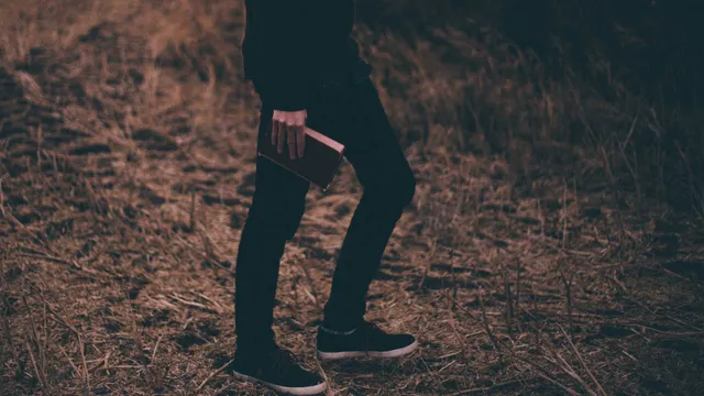 Uitgelichte afbeelding