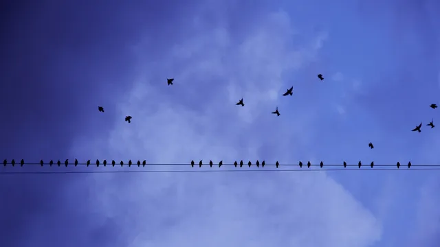 Lazarus staat op | Kleine dingen met grootse liefde.