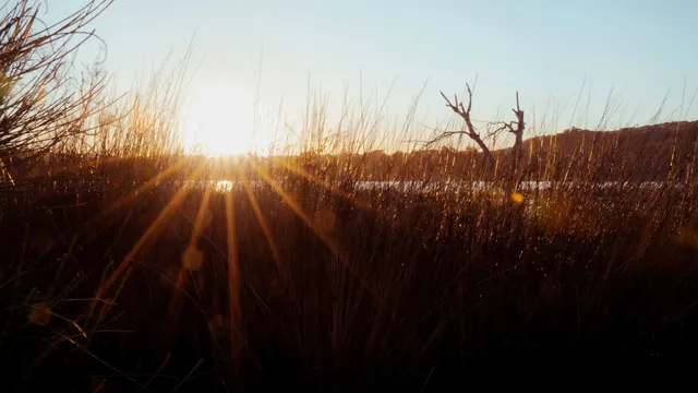 Lazarus staat op | De wazigheid en de eeuwige.