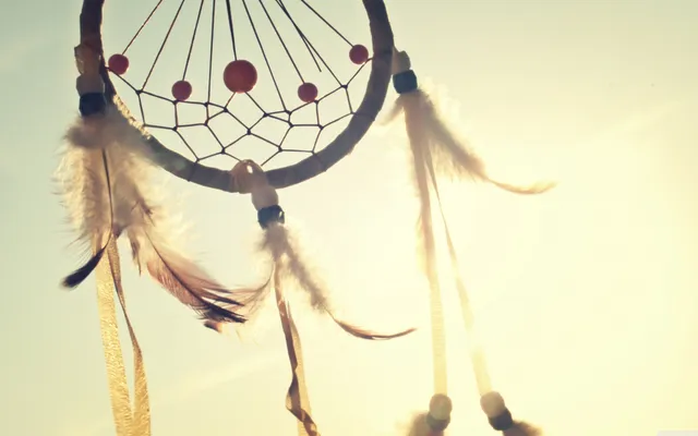 De Droominee: ‘Met wat creativiteit redden we onszelf wel’.