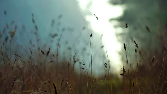 Lazarus staat op | Binnen en buiten opgeheven.