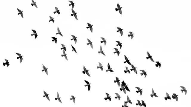 Lazarus staat op | Maar wat moet je met de pijn?.