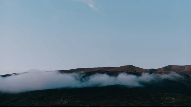 Lazarus staat op | Altijd geworteld.