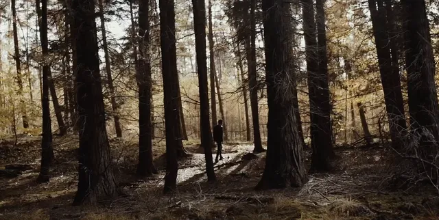 Hoe kun je weten wat goed en kwaad is? En kan dat zonder God?.