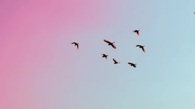 Lazarus staat op | Laat je niet leiden door angst.