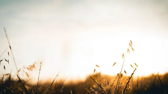 Lazarus staat op | Weg met je activisme.