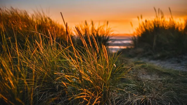 Lazarus staat op | Ik heb de wereld overwonnen.