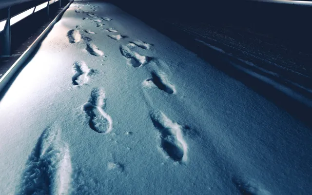 Wijn van 2000 jaar oud.