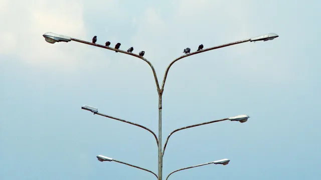 Lazarus staat op | Vertrouwen en verandering.