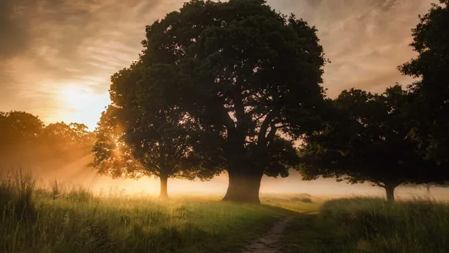 Lazarus staat op | We moeten er wel dwars doorheen.