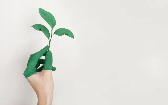 Duurzamer leven lastig? Ja, maar Wilbert gaat je erbij helpen!.