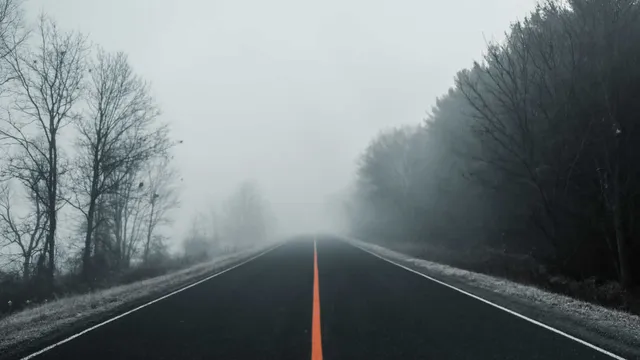 Lazarus staat op | Van wie is het, wiens naam staat erop?.