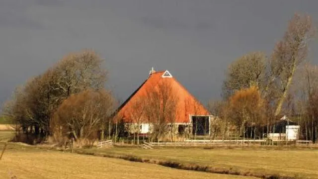 Uitgelichte afbeelding