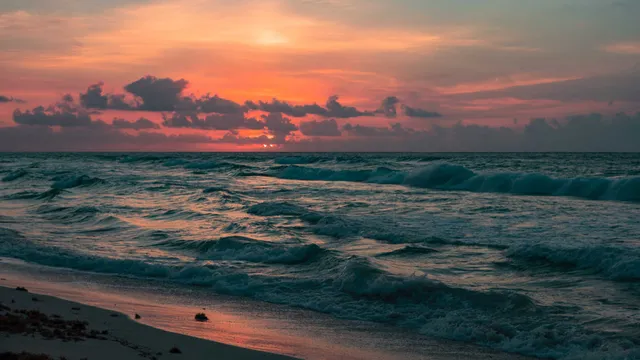 Lazarus staat op | de angst voor de eenzaamheid.