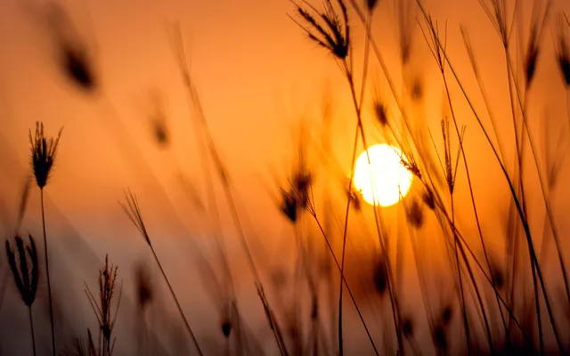 Om dat er vanbinnen iets moet gebeuren.