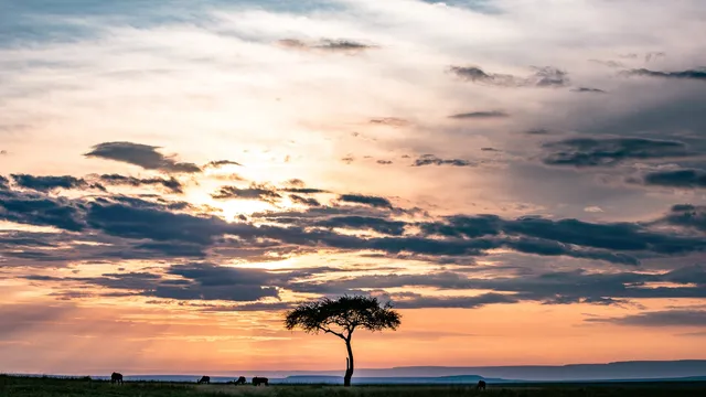 Lazarus staat op | Hier ben ik.