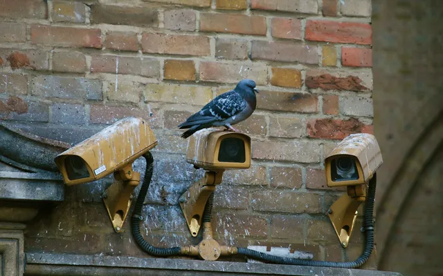 'Het is belachelijk, maar ik concurreer dus met mijn schoonmoeder'.