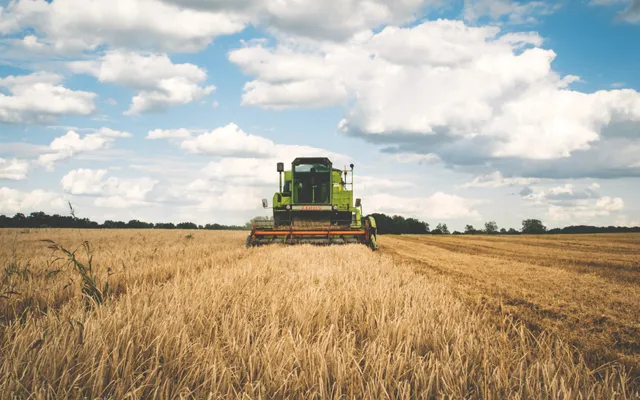 Pinksteren: de oogst van wat Jezus probeerde te zaaien.
