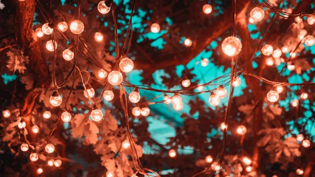 Lazarus staat op | Krijgen wat je hebben wilt.