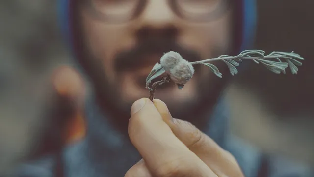 Alain Verheij over kerkverlating: ‘We zijn ons kapitaal aan het verkwanselen’.