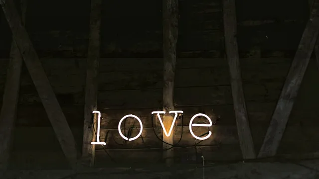 Lazarus staat op | De wijsheid is schuchter.