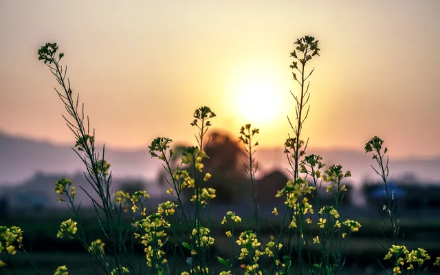 Rikko op donderdag 13 september.
