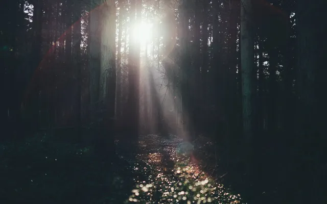 Rob Bell: ‘Het is Gods overvloedige verlangen om alles en iedereen te redden’.