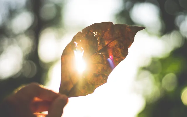We vinden ons verstand zo belangrijk, ook in het geloof, maar is dat terecht?.