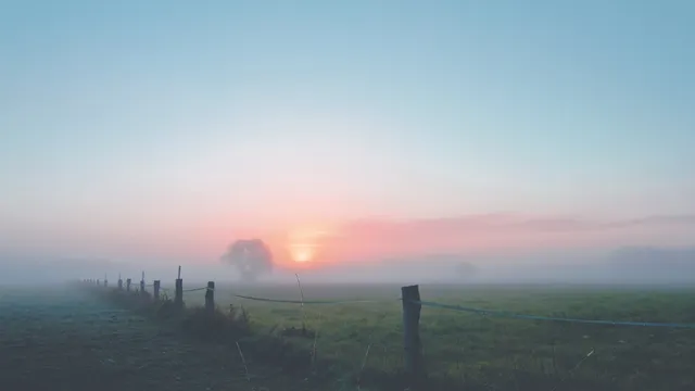 Lazarus staat op | Wat liefhebben is.