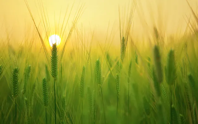 Paulus zou er wel raad mee weten.