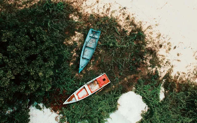 Het is niet de godheid die je heeft gered.