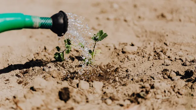 Lazarus staat op | Moeilijke vragen.